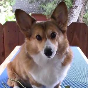 Meet your Posher, Marcia